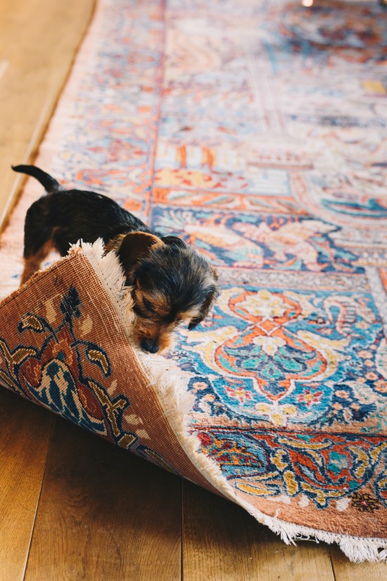 Beestenboel - Foto: Marjon Lukje