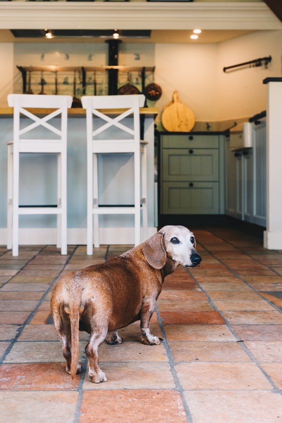 Beestenboel - Foto: Marjon Lukje