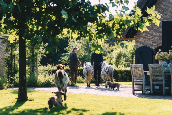 Beestenboel - Foto: Marjon Lukje