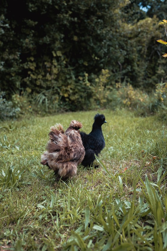 Leemhuis Bergen | Fotografie: Sheena Schouwink