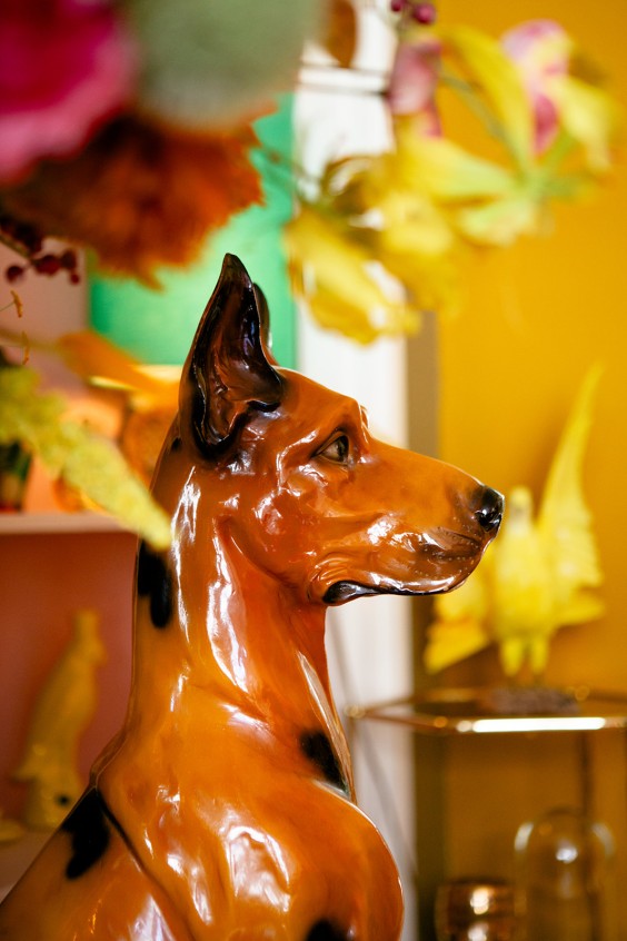 Kleurrijk dijkhuis in Heinenoord | Fotografie: Roos Eijmers