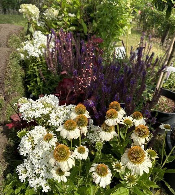 Tuinmetamorfose Niels Treffers