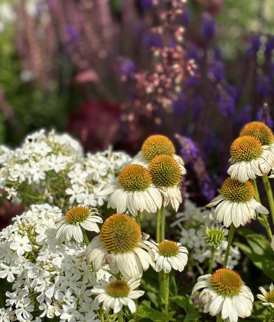 Tuinmetamorfose Niels Treffers