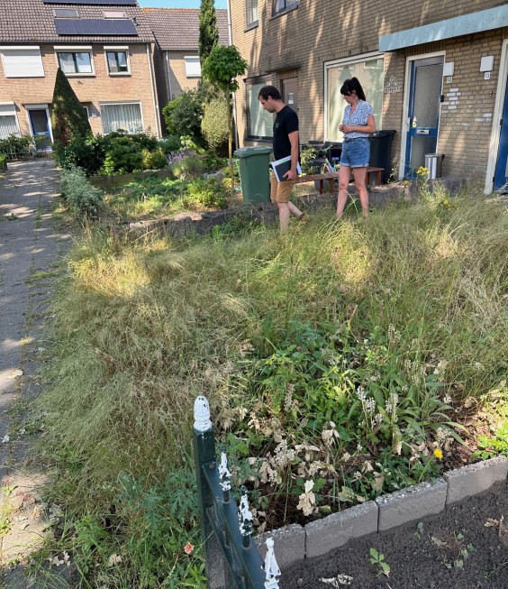 Tuinmetamorfose Niels Treffers