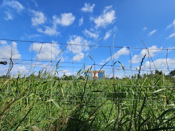 Herenboerderij - Foto: Max van Nievelt