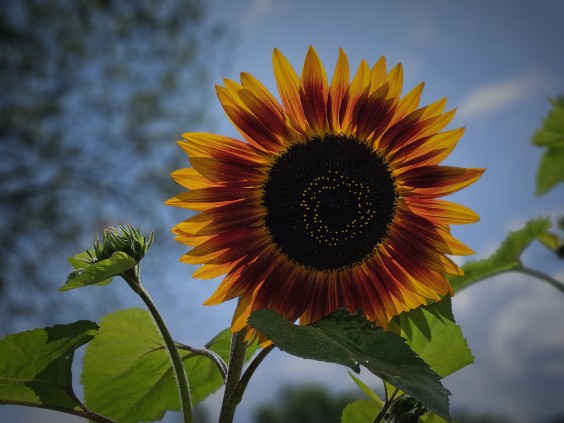 Herenboerderij - Foto: Max van Nievelt