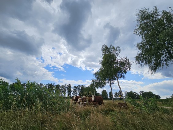 Herenboerderij - Foto: Max van Nievelt