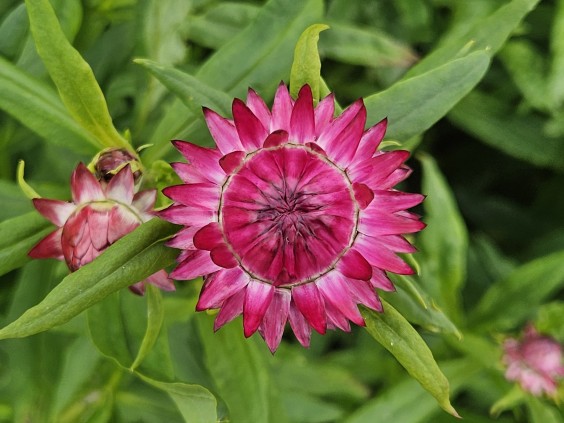 Herenboerderij - Foto: Max van Nievelt