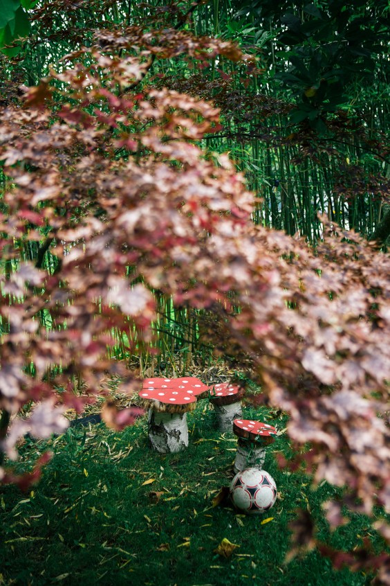 Houten dijkhuisje | Fotografie: Roos Eijmers