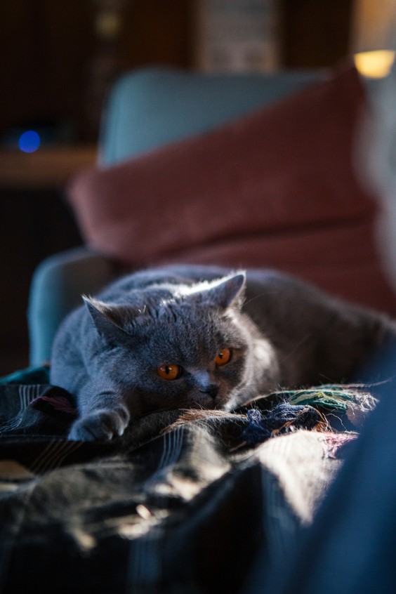 Houten dijkhuisje | Fotografie: Roos Eijmers