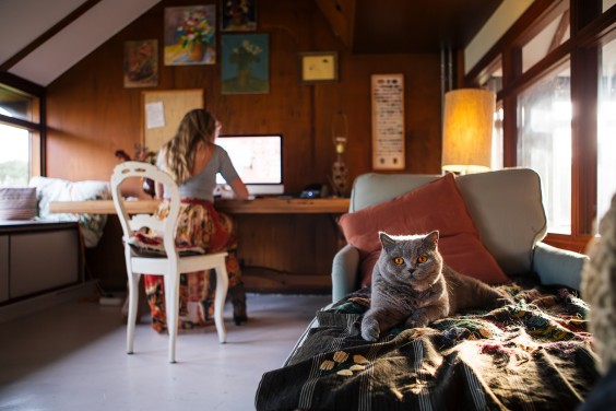 Houten dijkhuisje | Fotografie: Roos Eijmers