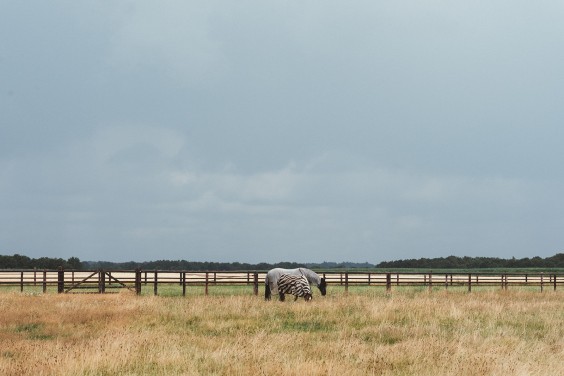 Landelijke boerderij Drenthe | Fotografie: Marjon Lukje