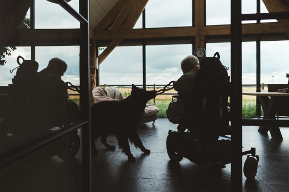 Hulphond Joey | Fotografie: Marjon Lukje