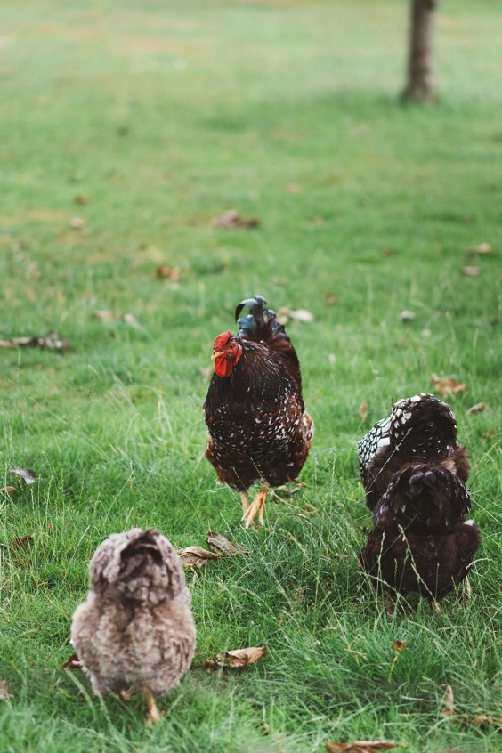 Landelijke boerderij Drenthe | Fotografie: Marjon Lukje