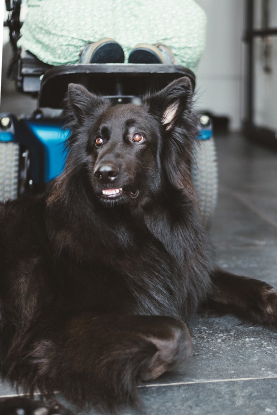 Hulphond Joey | Fotografie: Marjon Lukje
