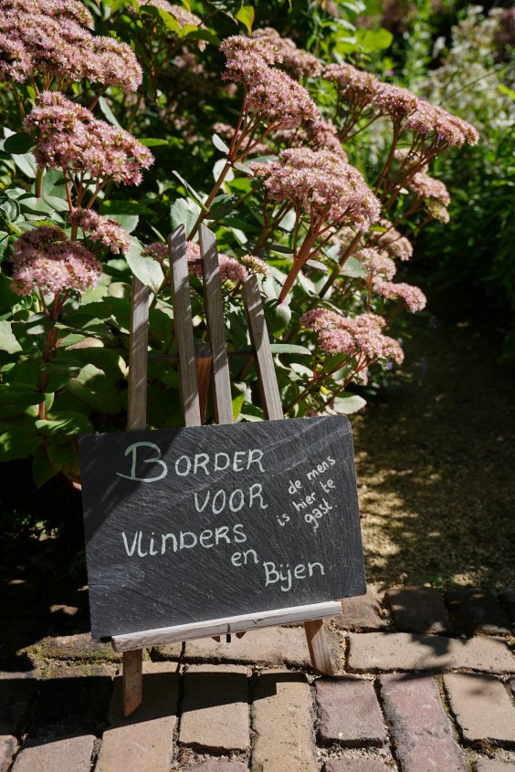 Kleurrijke bloementuin - Foto: Jitske de Vries