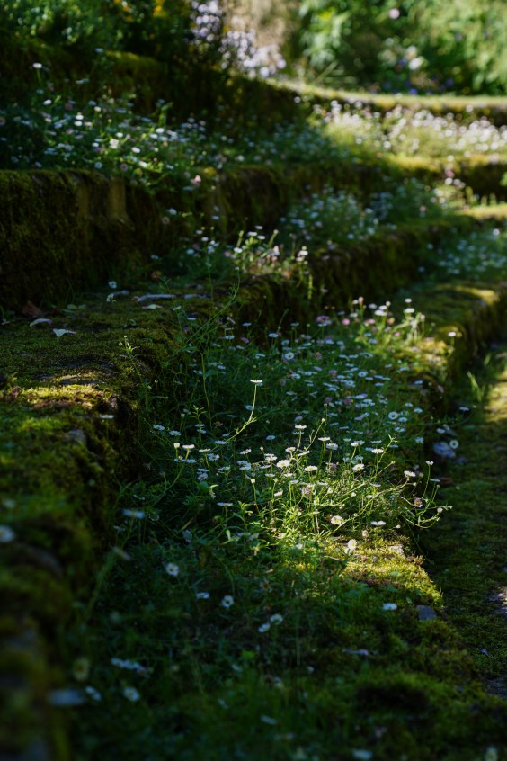 Kleurrijke bloementuin - Foto: Jitske de Vries
