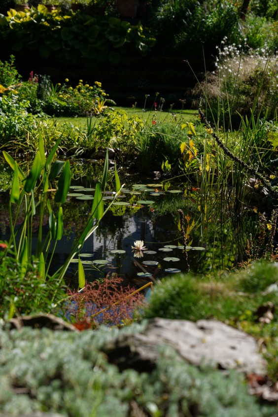 Kleurrijke bloementuin - Foto: Jitske de Vries