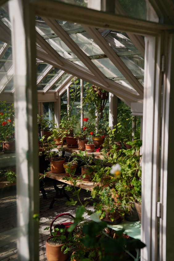 Kleurrijke bloementuin - Foto: Jitske de Vries