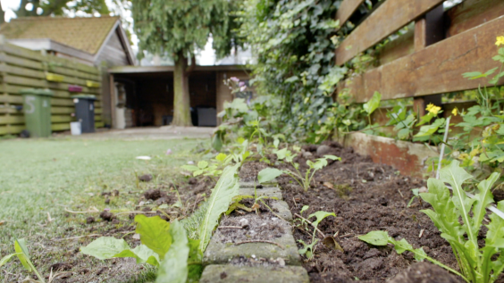 Tuinmetamorfose Niels Treffers