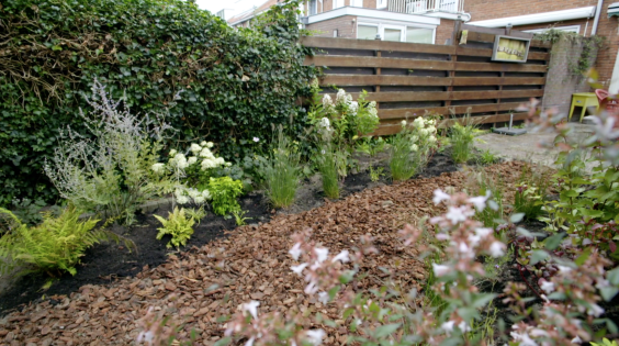 Tuinmetamorfose Niels Treffers