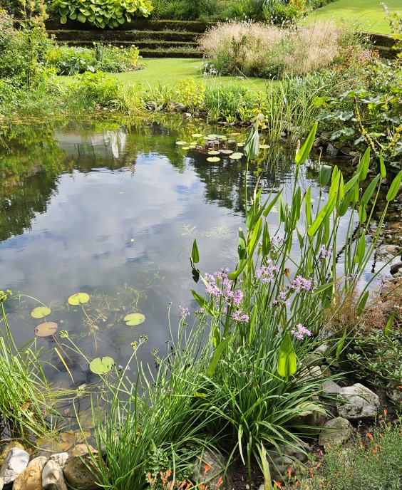 Kleurrijke bloementuin - Foto: Max van Nievelt