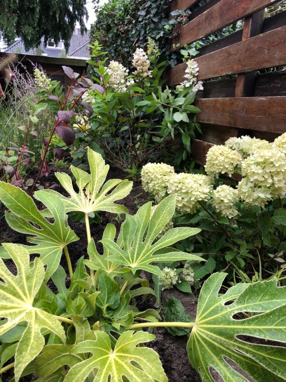 Tuinmetamorfose Niels Treffers