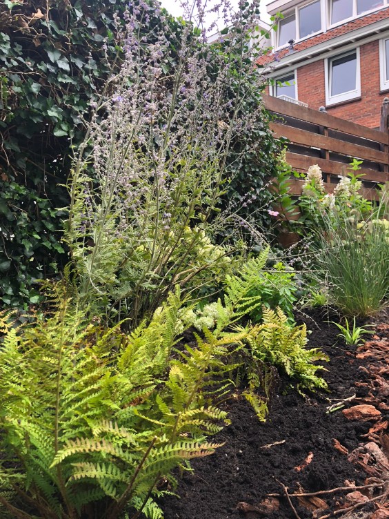 Tuinmetamorfose Niels Treffers