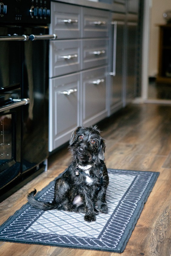 Voormalige basisschool De Heen | Fotografie: Roos Eijmers