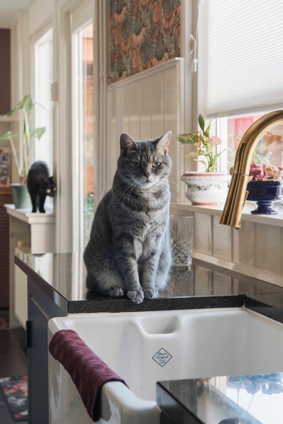 Bloemenprintjes behang in Hengelo | Fotografie: Liesbeth Disbergen