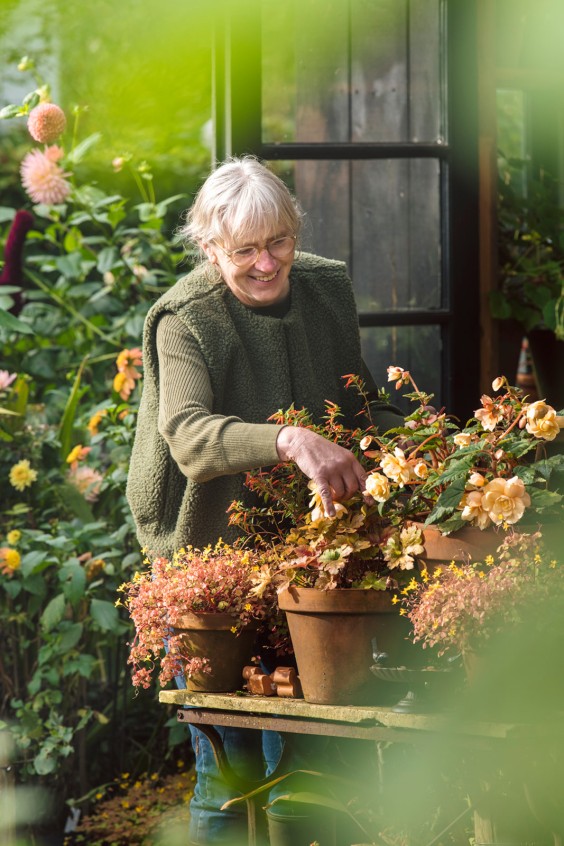 Kijk mee in de herfsttuin van Marieke Nolsen | Foto: Liesbeth Disbergen