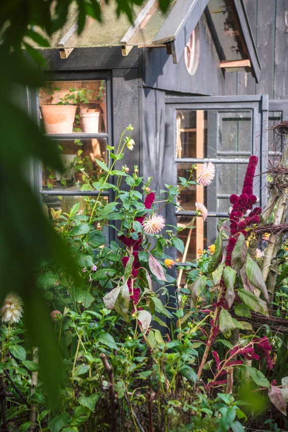Kijk mee in de herfsttuin van Marieke Nolsen | Foto: Liesbeth Disbergen