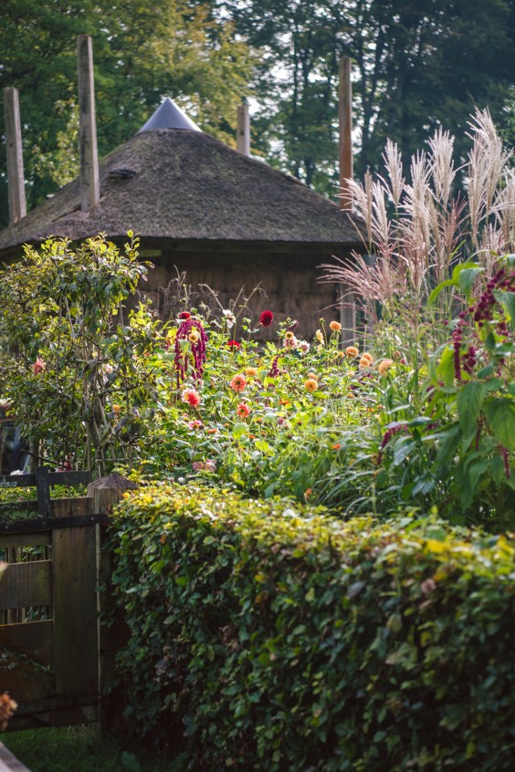 Kijk mee in de herfsttuin van Marieke Nolsen | Foto: Liesbeth Disbergen