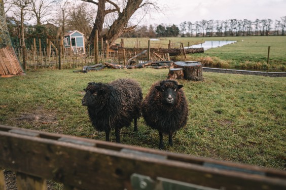 Stolpboerderij in kerstsfeer | Fotografie: Sheena Schouwink