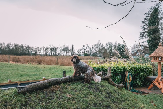 Stolpboerderij in kerstsfeer | Fotografie: Sheena Schouwink