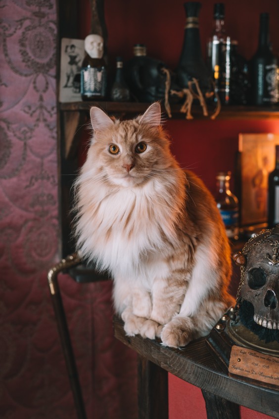 Vintage Gothic huis - Foto: Sheena Schouwink