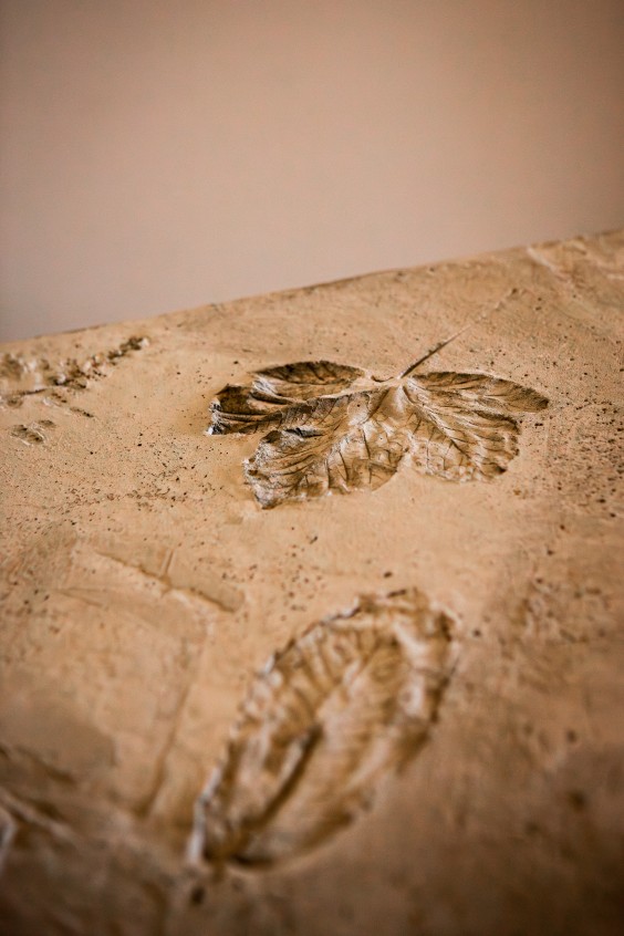 Maasloft pakhuis - Foto: Roos Eijmers