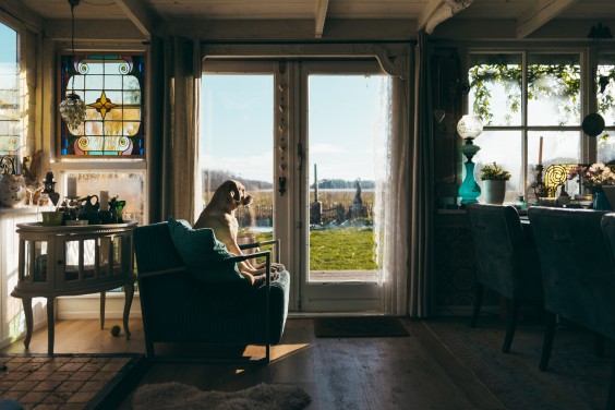 Landelijk schuurhuis | Fotografie: Marjon Lukje