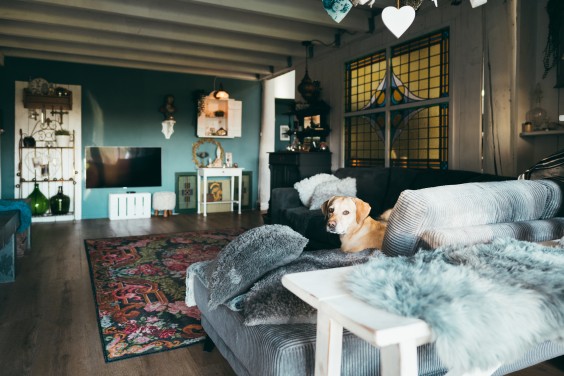 Landelijk schuurhuis | Fotografie: Marjon Lukje