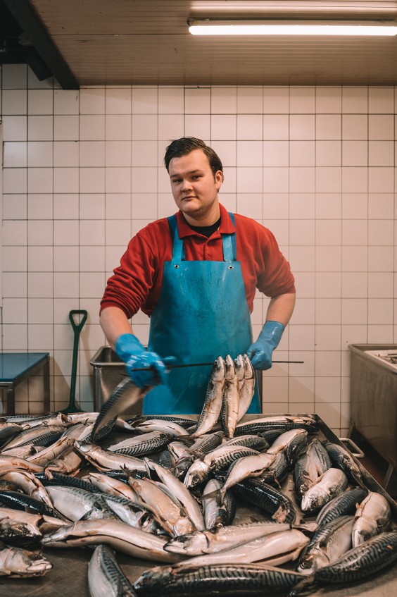 Visrokerij IJmuiden | Fotografie: Sheena Schouwink
