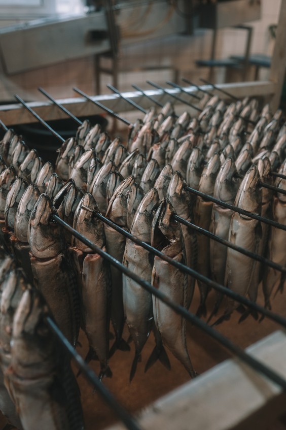 Visrokerij IJmuiden | Fotografie: Sheena Schouwink