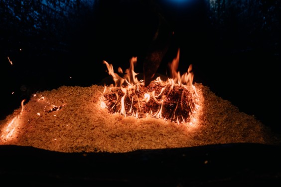 Visrokerij IJmuiden | Fotografie: Sheena Schouwink