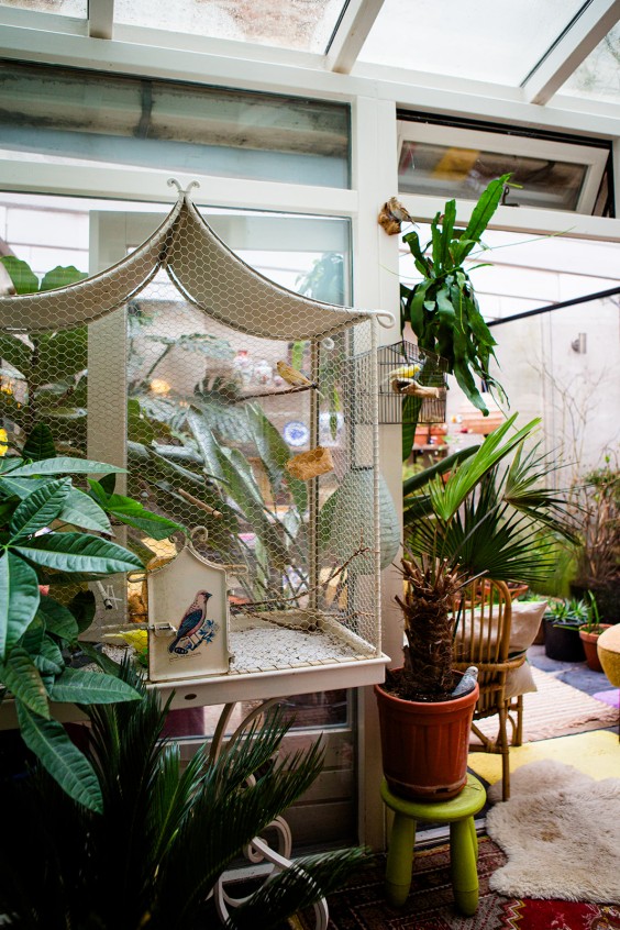 Kleurrijk huis Den Bosch | Fotografie: Roos Eijmers