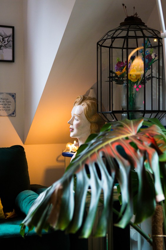 Kleuren jungle in Rotterdam | Fotografie: Roos Eijmers