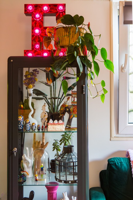 Kleuren jungle in Rotterdam | Fotografie: Roos Eijmers