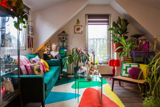 Kleuren jungle in Rotterdam | Fotografie: Roos Eijmers