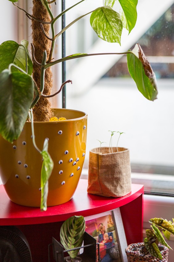 Kleuren jungle in Rotterdam | Fotografie: Roos Eijmers