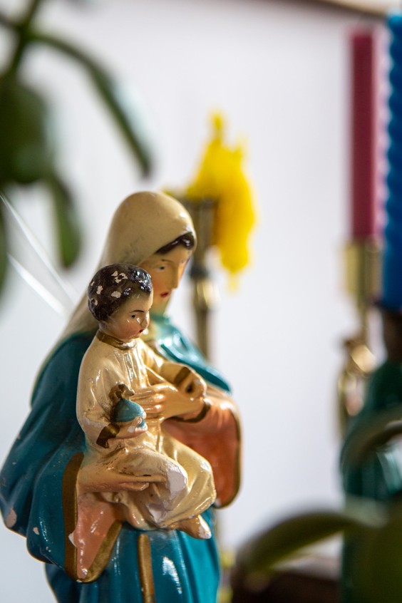 Kleuren jungle in Rotterdam | Fotografie: Roos Eijmers