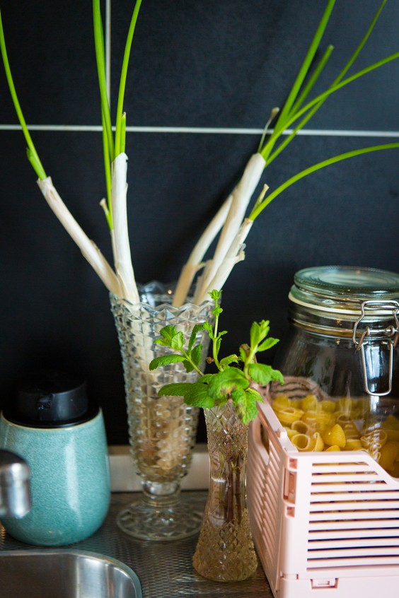 Kleuren jungle in Rotterdam | Fotografie: Roos Eijmers
