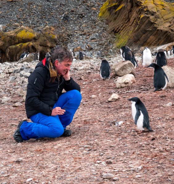 Pinguïns in het wild | Foto: Marcel Haenen.jpeg